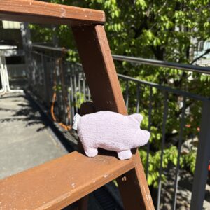 Glücksschweinchen rosa